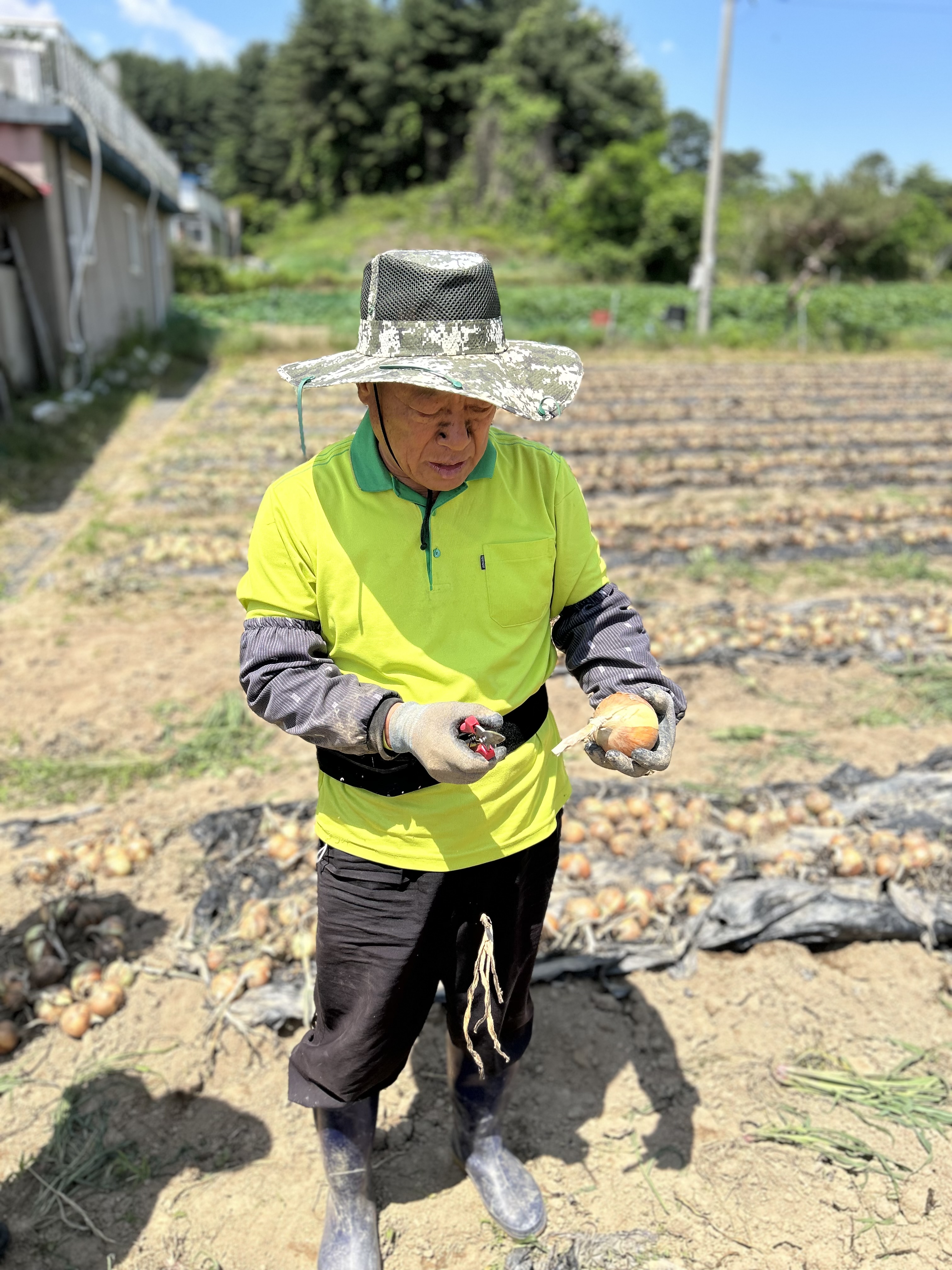 2조 전병옥 님 농장 기획 (1).jpeg